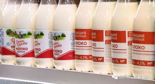 俄乳品廠 中國一直認為俄乳制品質量好 但市場競爭很激烈