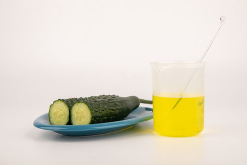 黃瓜食品安全農(nóng)業(yè)科技食品培育攝影圖 插畫(huà) 下載至來(lái)源處