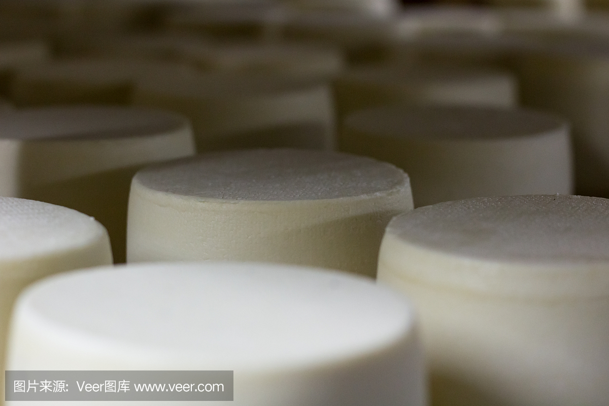 乳制品生產(chǎn)車(chē)間,架子上放著成熟的白奶酪頭