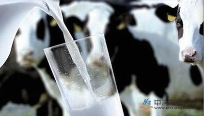 韓國奶粉制造商陷困境 中國市場巨大消費(fèi)潛力成新突破口|奶粉_中國報(bào)告大廳www.chinabgao.com