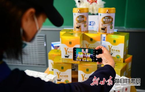 走進夏河縣雪頓牦牛乳業車間,看看奶制品怎么生產