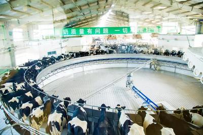 富源國際:“中國乳品制造”的中堅力量