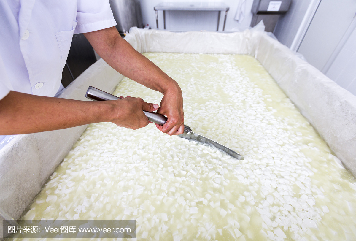 芝士工人雙手將乳脂和乳制品混合