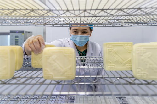 盛夏烏蘭毛都草原,乳香四溢等你來