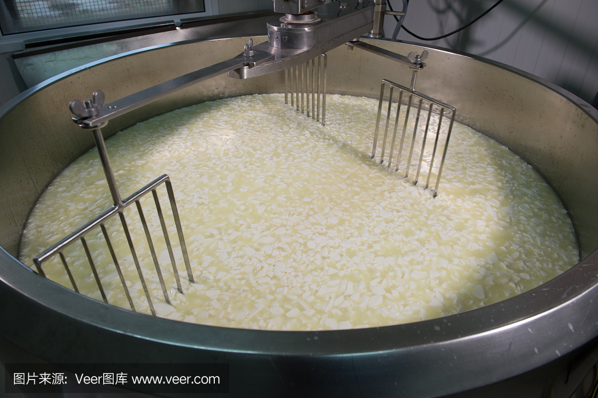 奶酪制作者-在乳品店制作傳統奶酪,