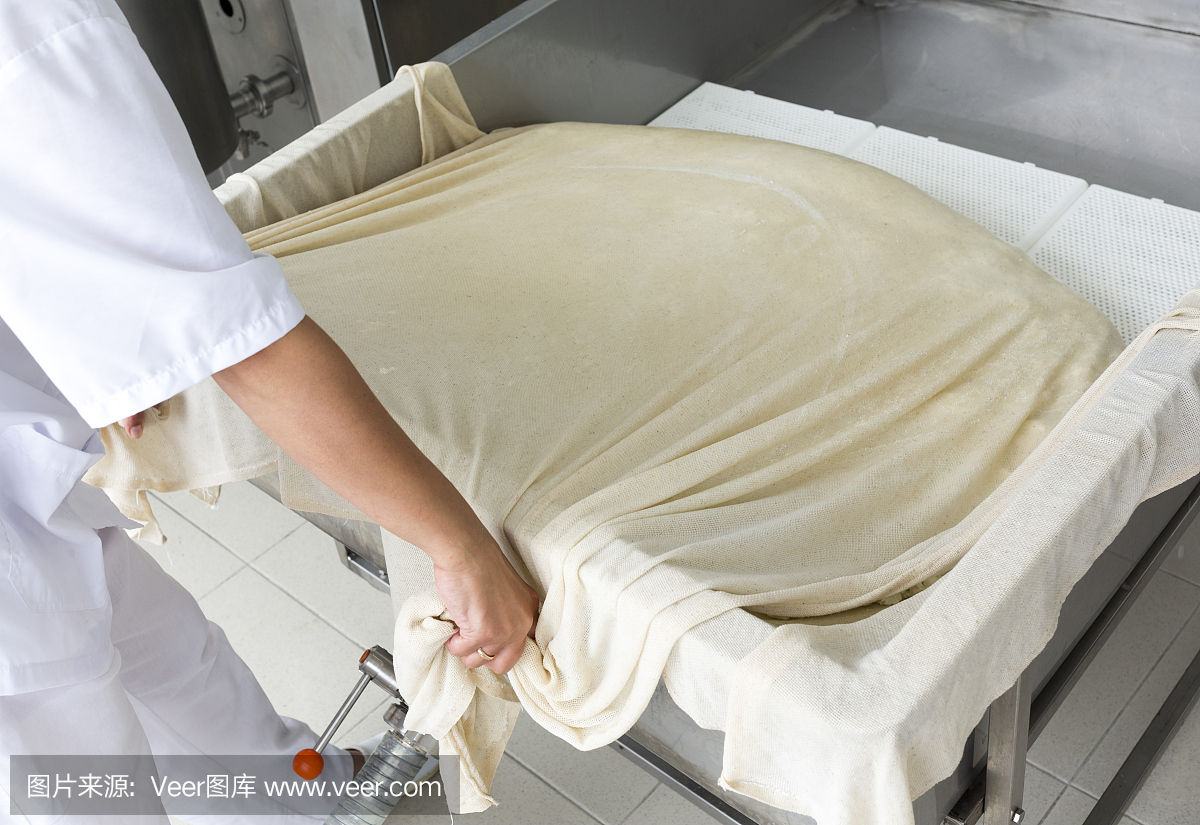制作奶酪,乳脂,乳制品