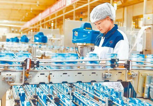 李瑤 中國工業軟件沒有 彎道超車 , 一拐彎就是車禍