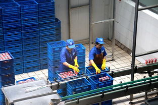 食品生產企業 透明工廠 體驗日走進山東得益乳業零距離感受乳制品生產過程