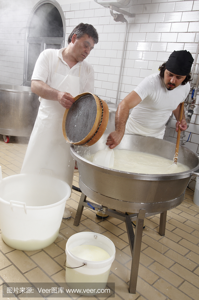 馬蘇里拉奶酪生產