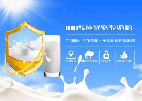 用質(zhì)量與誠(chéng)信打造駝奶品牌 華夏絲路駝奶粉崛起的力量