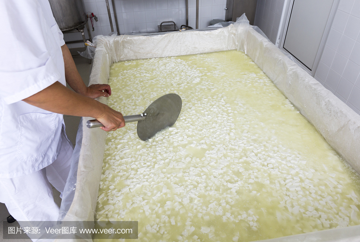 芝士工人雙手將乳脂和乳制品混合