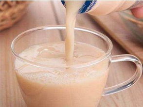 乳酸菌生產線助力健康生活