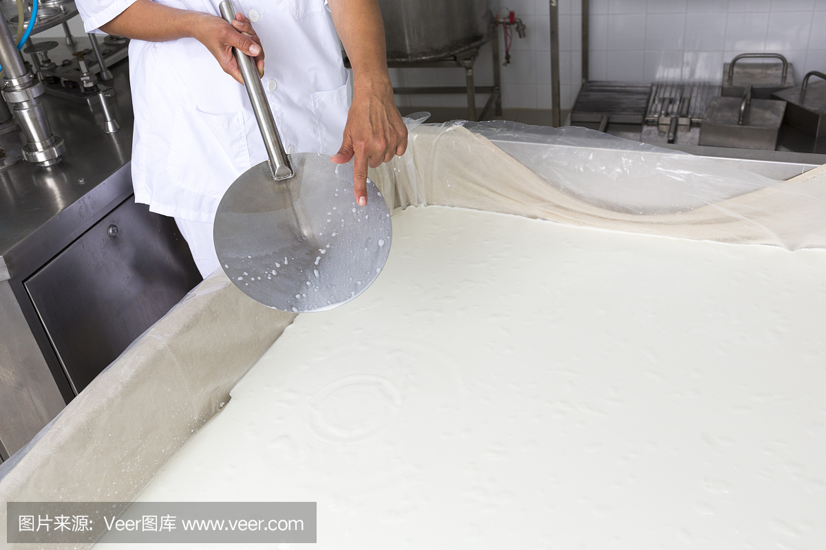 奶酪生產(chǎn),乳脂,乳品工人凝固
